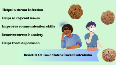 Benefits Of Rudraksha : Four Mukhi (Face) Rudraksha